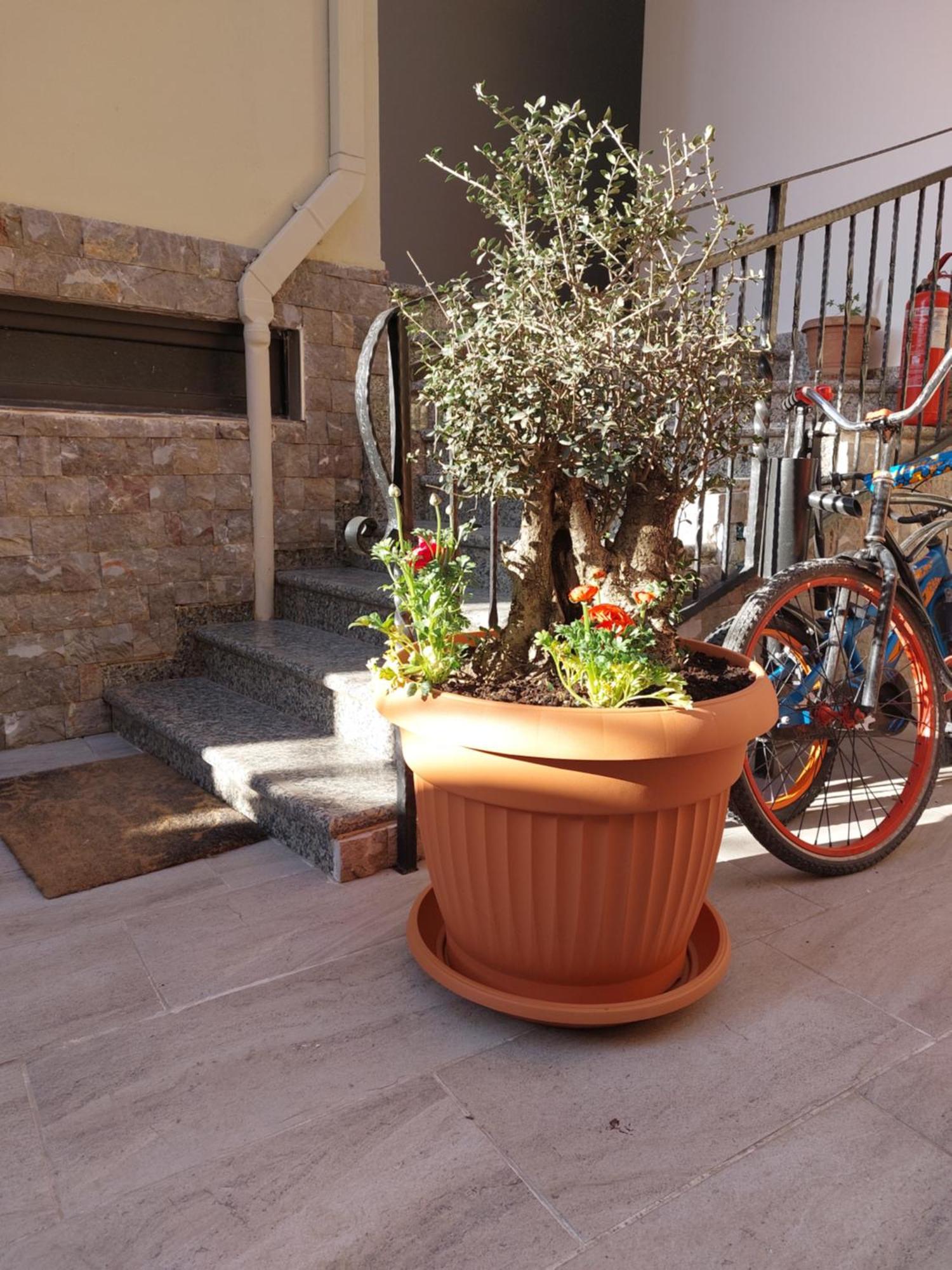 Apartamento Tafa Tirana